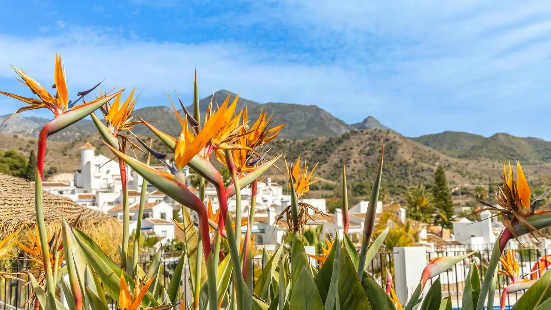 Tetuan 31 Oasis Properties Nerja Apartment