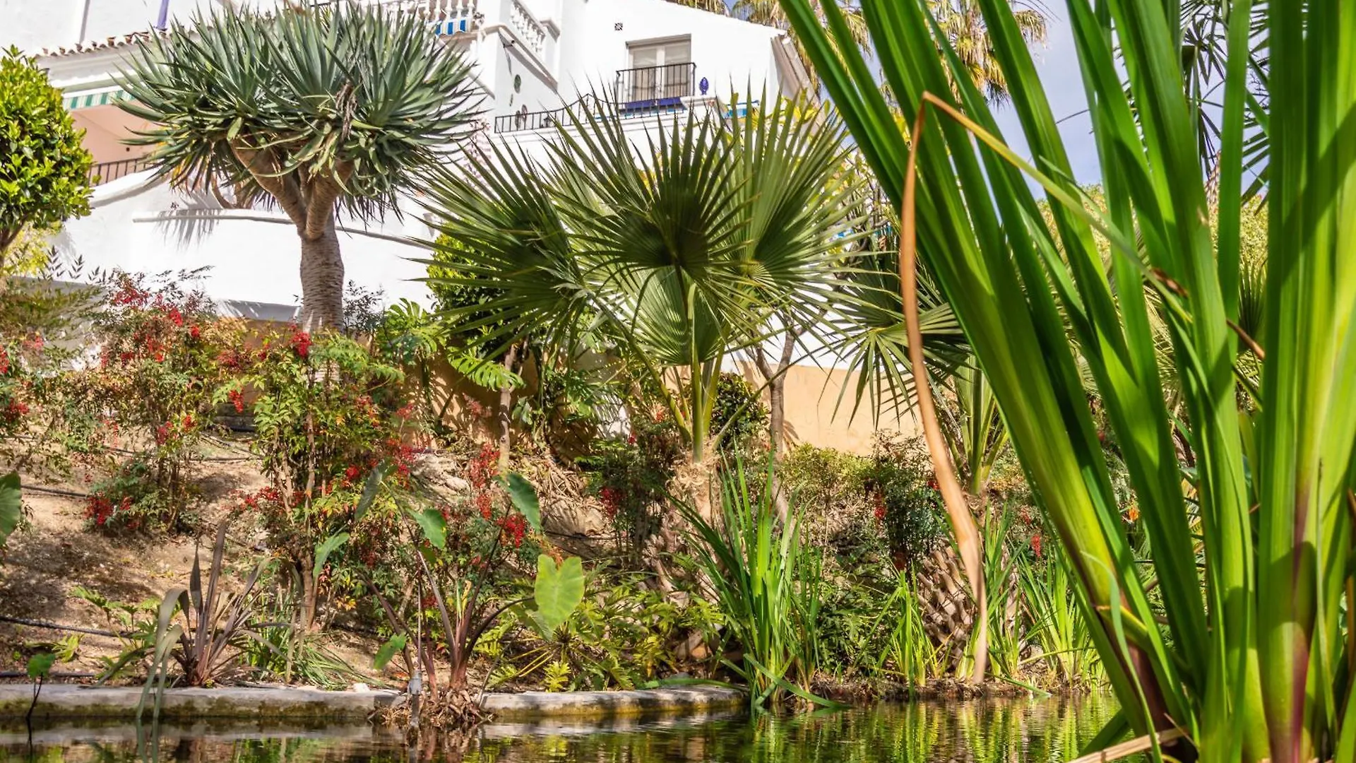 Tetuan 31 Oasis Properties Nerja